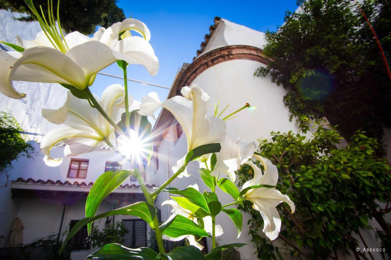 Casa Del Siglo XVII Vila Sevilha Exterior foto